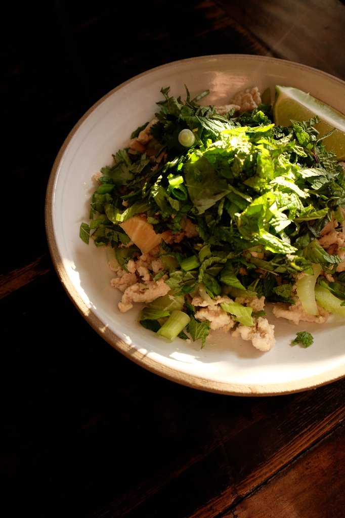 Spring Thai Larb salad
